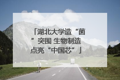 湖北大学造“菌”突围 生物制造点亮“中国芯”
