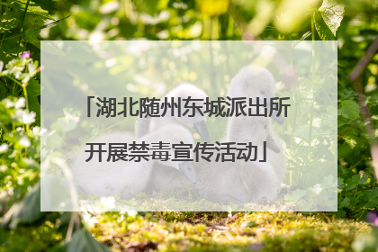 湖北随州东城派出所开展禁毒宣传活动
