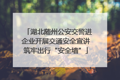 湖北随州公安交警进企业开展交通安全宣讲筑牢出行“安全墙”