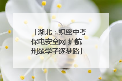 湖北：织密中考保电安全网 护航荆楚学子逐梦路