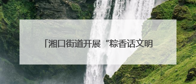 湘口街道开展“粽香话文明 邻里一家亲”端午节活动