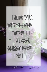 湘南学院留学生探秘“矿物王国” 沉浸式体验矿博盛宴