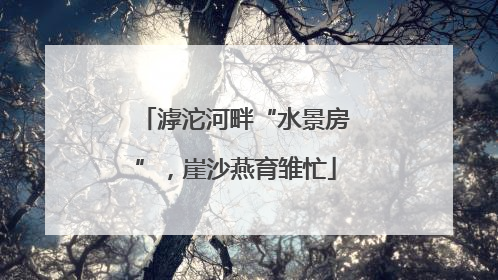 滹沱河畔“水景房”，崖沙燕育雏忙