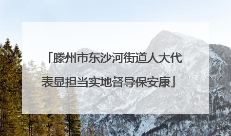 滕州市东沙河街道人大代表显担当实地督导保安康