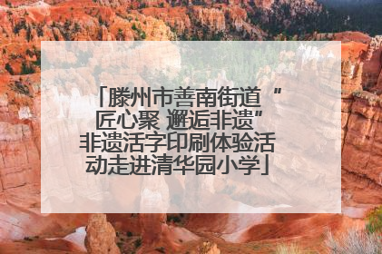 滕州市善南街道“匠心聚 邂逅非遗”非遗活字印刷体验活动走进清华园小学