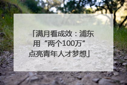满月看成效：浦东用“两个100万”点亮青年人才梦想