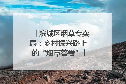 滨城区烟草专卖局：乡村振兴路上的“烟草答卷”