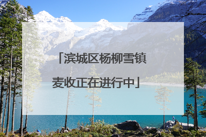 滨城区杨柳雪镇麦收正在进行中
