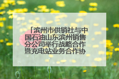 滨州市供销社与中国石油山东滨州销售分公司举行战略合作暨充电站业务合作协议签约仪式