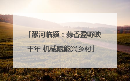 漯河临颍:蒜香盈野映丰年 机械赋能兴乡村