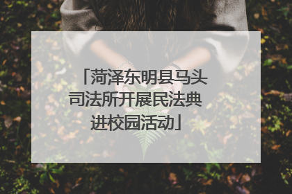 菏泽东明县马头司法所开展民法典进校园活动