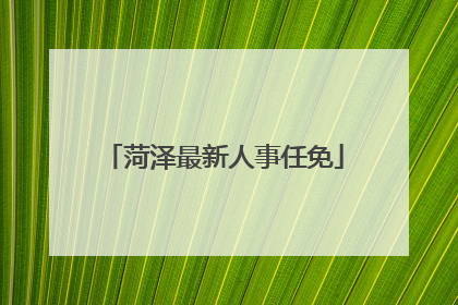 菏泽最新人事任免
