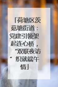 荷塘区茨菇塘街道：党建引领架起连心桥，“双联夜访”织就端午情