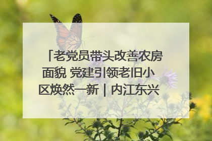 老党员带头改善农房面貌 党建引领老旧小区焕然一新｜内江东兴“红”在哪？④