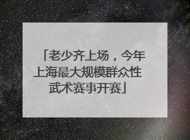 老少齐上场，今年上海最大规模群众性武术赛事开赛