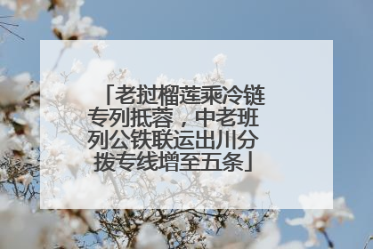 老挝榴莲乘冷链专列抵蓉，中老班列公铁联运出川分拨专线增至五条