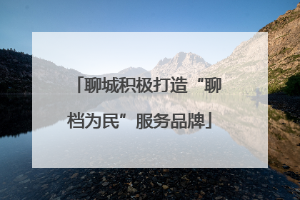 聊城积极打造“聊档为民”服务品牌