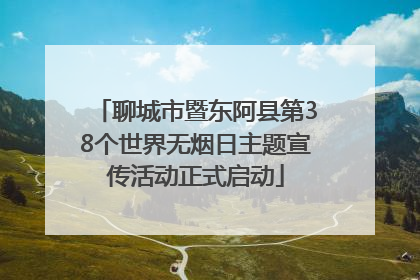 聊城市暨东阿县第38个世界无烟日主题宣传活动正式启动