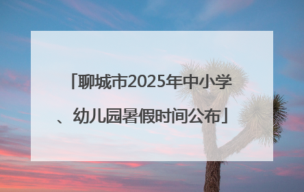 聊城市2025年中小学、幼儿园暑假时间公布