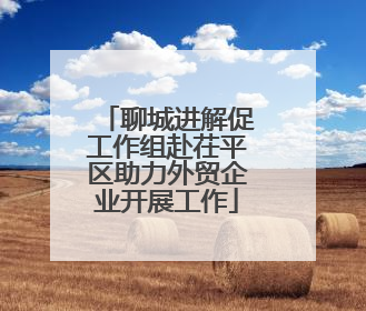 聊城进解促工作组赴茌平区助力外贸企业开展工作