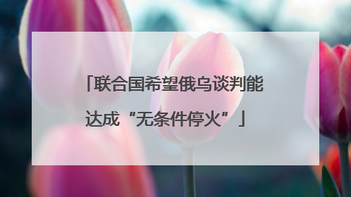 联合国希望俄乌谈判能达成“无条件停火”