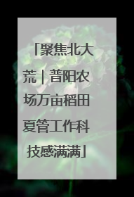 聚焦北大荒｜普阳农场万亩稻田夏管工作科技感满满