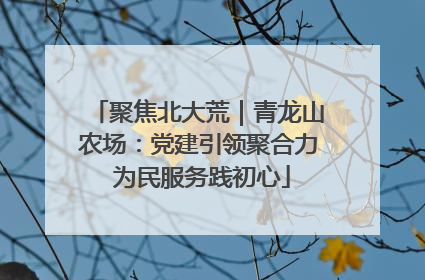 聚焦北大荒｜青龙山农场：党建引领聚合力 为民服务践初心