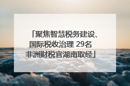 聚焦智慧税务建设、国际税收治理 29名非洲财税官湖南取经