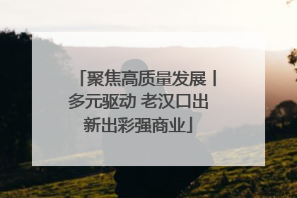 聚焦高质量发展丨多元驱动 老汉口出新出彩强商业