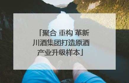 聚合 重构 革新 川酒集团打造原酒产业升级样本