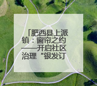 肥西县上派镇：窗帘之约——开启社区治理“银发订制”时光
