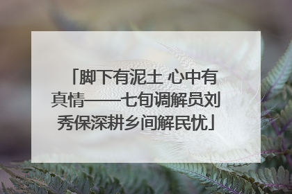 脚下有泥土 心中有真情——七旬调解员刘秀保深耕乡间解民忧
