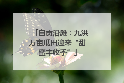 自贡沿滩：九洪万亩瓜田迎来“甜蜜丰收季”
