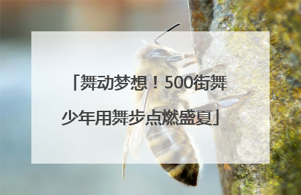 舞动梦想！500街舞少年用舞步点燃盛夏