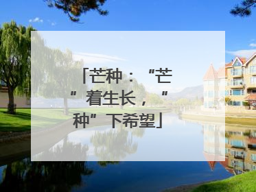芒种：“芒”着生长，“种”下希望