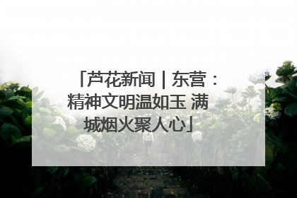 芦花新闻｜东营：精神文明温如玉 满城烟火聚人心