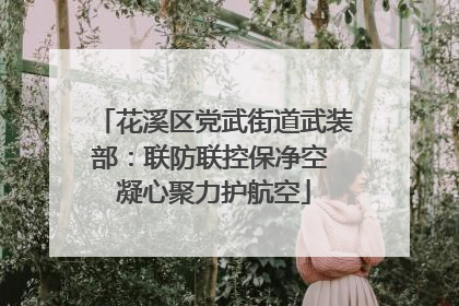 花溪区党武街道武装部：联防联控保净空 凝心聚力护航空