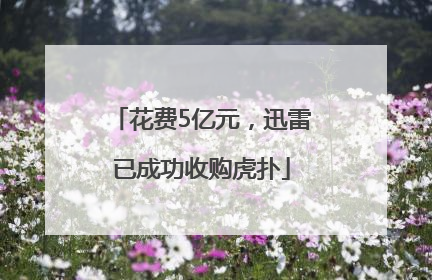 花费5亿元，迅雷已成功收购虎扑