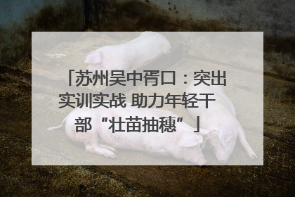 苏州吴中胥口：突出实训实战 助力年轻干部“壮苗抽穗”