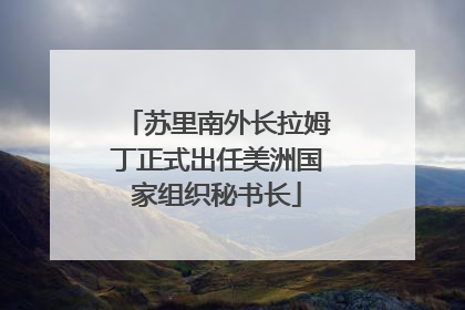 苏里南外长拉姆丁正式出任美洲国家组织秘书长