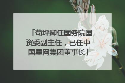 苟坪卸任国务院国资委副主任，已任中国星网集团董事长