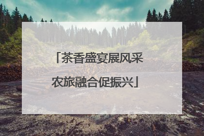 茶香盛宴展风采 农旅融合促振兴