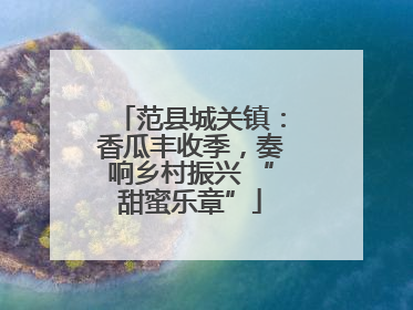 范县城关镇：香瓜丰收季，奏响乡村振兴 “甜蜜乐章”
