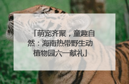 萌宠齐聚，童趣自然：海南热带野生动植物园六一献礼