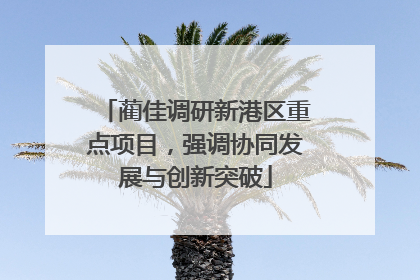 蔺佳调研新港区重点项目，强调协同发展与创新突破