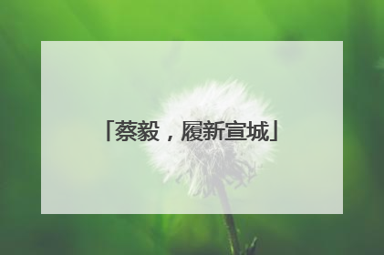 蔡毅，履新宣城