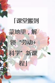 课堂搬到菜地里，解锁“劳动+科学”新课程