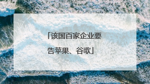 该国百家企业要告苹果、谷歌