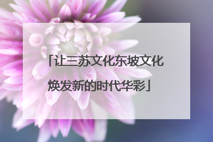 让三苏文化东坡文化焕发新的时代华彩