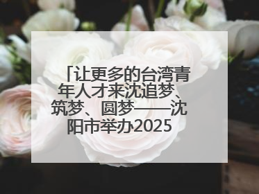 让更多的台湾青年人才来沈追梦、筑梦、圆梦——沈阳市举办2025“台湾博士沈阳行”活动